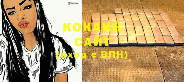 прущие грибы Балахна